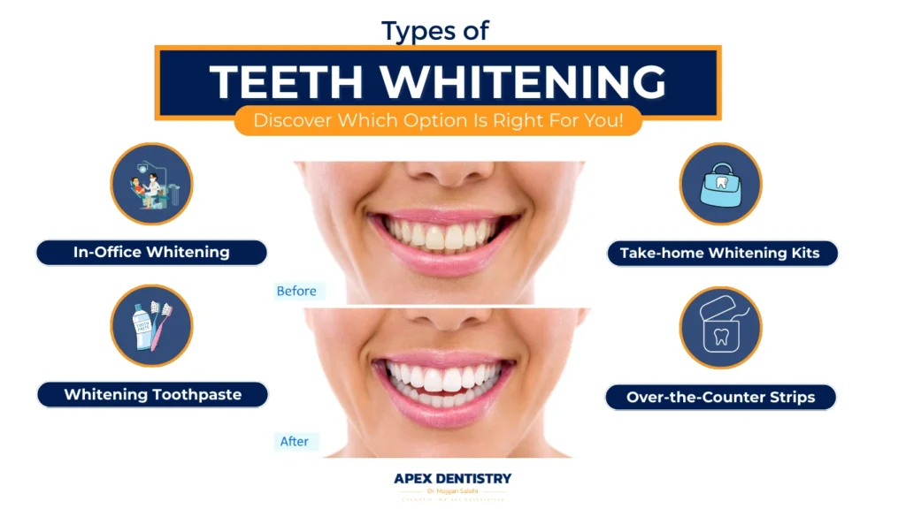 Apex-Types of teeth